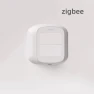 Wireless 2-Channel Scene Switch ZigBee Push Remoter Panel — Smart Home Hub, Home Of Auto Parts