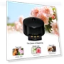 Car Aromatherapy Diffuser — Car Air Fresheners, Timeless Home
