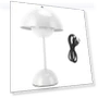 Flower Bud Wireless LED Desk Lamp — Desk & Table Lighting, KONNWEI