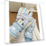 Women's Touchscreen Ski Gloves — Gloves & Mittens, Polaris star