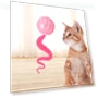 Electric Rolling Ball Toy for Cats — Cat Playthings, Pet Products My