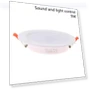 Motion Sensor Spot LED Downlight — Garden Illumination, Comfortable Housy