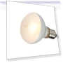 Heating Lamp for Reptiles — , APlusVigor