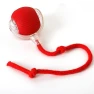 Interactive Ball Toy for Cats, Pansyf