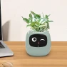 Smart Flower Pot — Indoor Garden, HappyToy