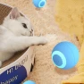 Automatic Rolling Ball — Cat Playthings, BeautifulJoy