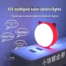 Voice-Controlled LED Night Light for Cats, Take One