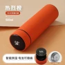 Smart Display Vacuum Insulated Stainless Steel Thermos — Thermoses, Garden Supplies My
