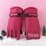 Winter Insulated Windproof Motorcycle Gloves, Take One