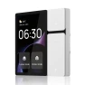 3.5-Inch Touch Control Panel with Built-in Switches — Smart Switch, Golden Security