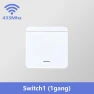 Smart Switch — Ceiling Fan Wall Controls, Tuya