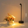 Retro Decorative LED Touch Desk Lamp, tijnwny