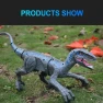Electric Remote Control Velociraptor Dinosaur Toy, SDS001