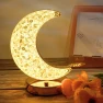 Modern Moon Desk Lamp with USB Charging, COOKING-MALL