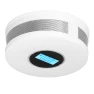 Smoke and Carbon Monoxide Detector, Painter