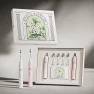 Smart Sonic Electric Toothbrush Gift Set — Sonic Electric Toothbrushes, Apiyoo