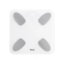 Smart Body Fat Scale — Smart Scale, BERYL