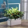 Smart Garden with LED Lighting — Indoor Garden, Назад к истокам