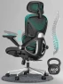 Ergonomic Mesh Office Chair with Adjustable Lumbar Support and Flip-up Arms — Ergonomic Chair, CAPOT