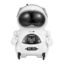 Pocket Robot with Intelligent Speech Recognition — Robot Pet, DHSM