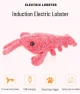 Electric Jumping Lobster Cat Toy — Automatic Cat Toy, AI Supermarket