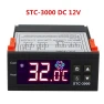 Temperature Controller with Alert and Detection, Automobile Club