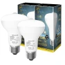 LED Light Bulb with Motion Sensor — Smart Light Bulb, Trendy Japanese products
