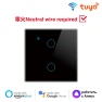 Smart Wall Switch — Smart Switch, Tuya