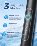 Rotating Electric Toothbrush for Adults with 8 Brush Heads — Electric Toothbrush, TEETHEORY