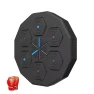 Bluetooth Connected Smart Boxing Trainer — Smart Boxing Trainer, Binchi Keji Travel