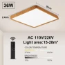 Smart Ceiling Light Fixture, Cosy Homes