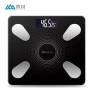 Smart Body Fat Scale — Smart Scale, Xiangshan