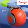 Interactive Cat Toy Ball, YIDELLI