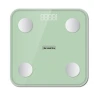 Smart Body Fat Scale — Smart Scale, Bear