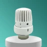 Thermostat Head with Frost Protection and Adjustable Temperature Levels — Heating System, Good Household Items