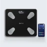 Smart Body Fat Scale — Smart Scale, Sensego