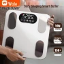 Smart Body Fat Scale — Smart Scale, ICOMON