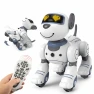 Remote Control Robot Dog Toy — Robot Pet