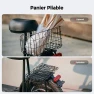 Electric scooter — Electric Scooter, iScooter