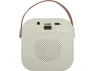 Mini Karaoke Bluetooth Speaker — Karaoke Machine, Supersonic