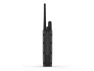Pro 550 Plus Handheld and Collar Bundle — Dog GPS Tracker, Garmin