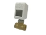Thermostatic Radiator Valve — Heating System