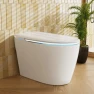 Smart Toilet with Heated Bidet and Dryer, TDH