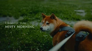 Cinematic Dog Vlog “Misty Morning” | Shiba Inu Video