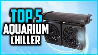 ▶️Best Aquarium Chiller in 2024