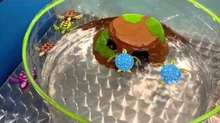 Toy Fair New York 2015 - Zuru Robo Turtles