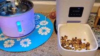 Updated Review!!!! The Wonder Creature Cat Water Fountain and The Dokoo Automatic Cat Feeder
