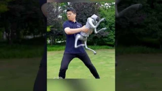 Robot dog keeps its balance in extreme training. #unitree #robots #robotdog #china #chinatechnology