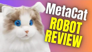 MetaCat: AI Pet Robot Cat!? (Full Review)