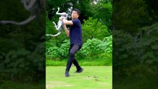 $1600 Unitree Go2 is INSANE! #ai #robotics #automation